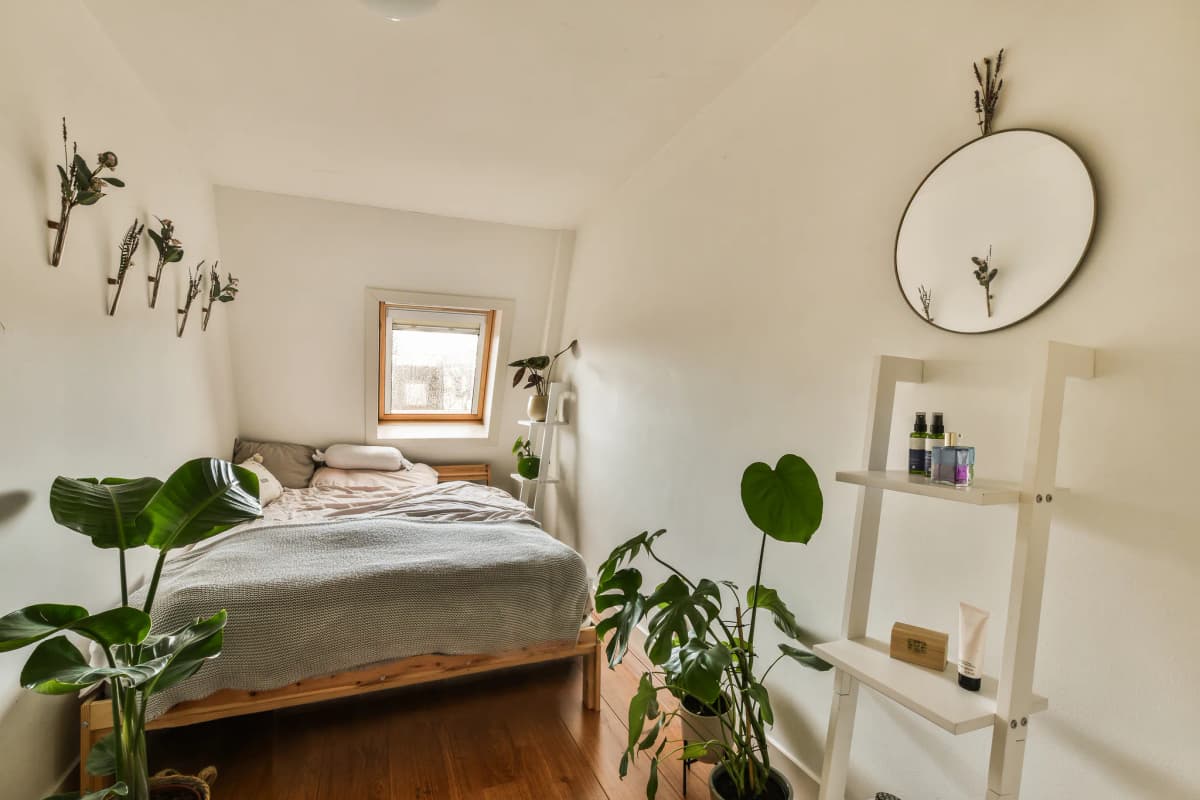 Check-in & Check-out