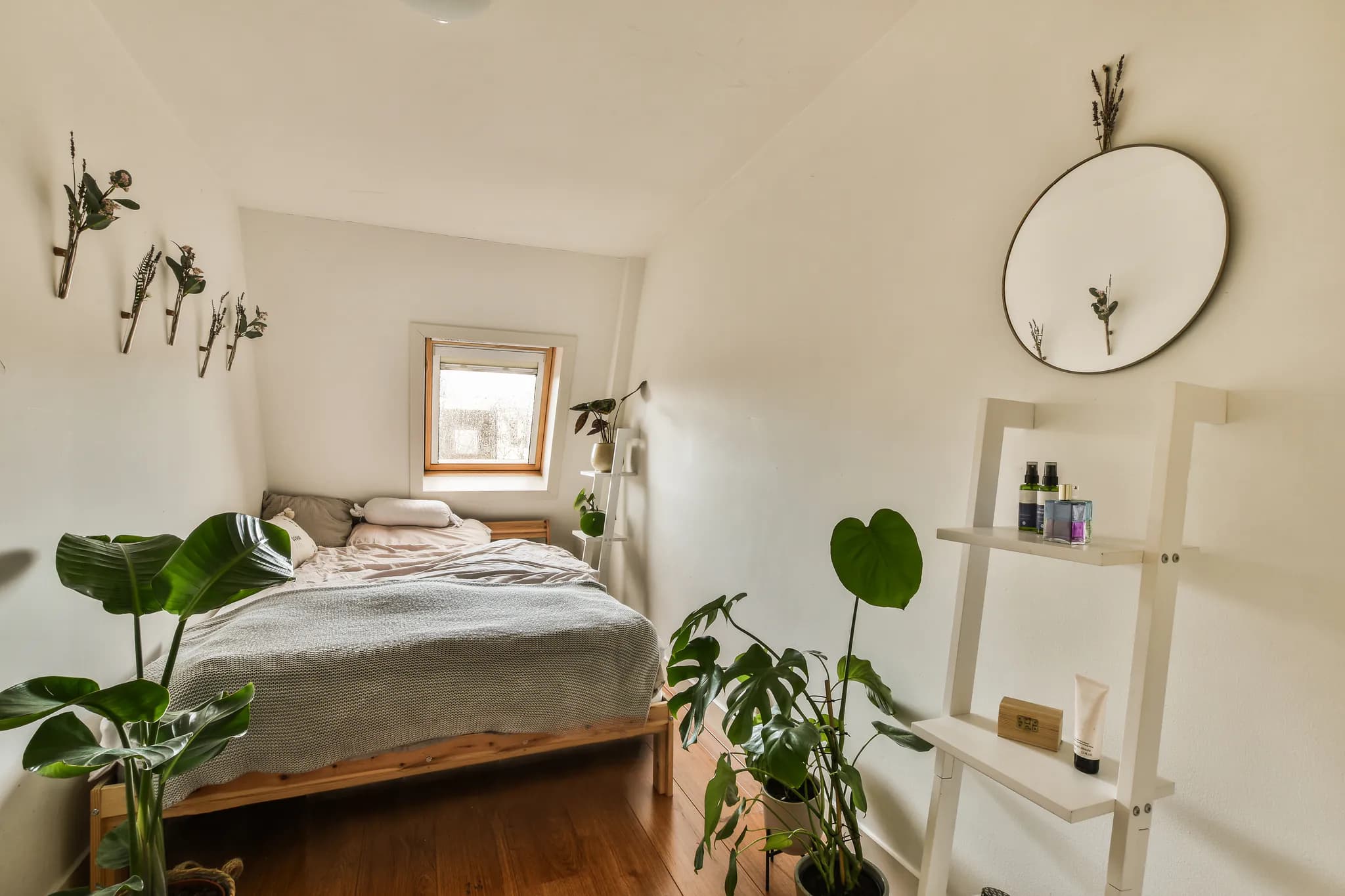 Check-in & Check-out